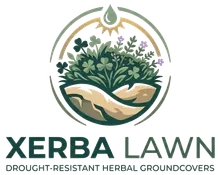 Xerba Lawn, drought-resistant herbal groundcovers